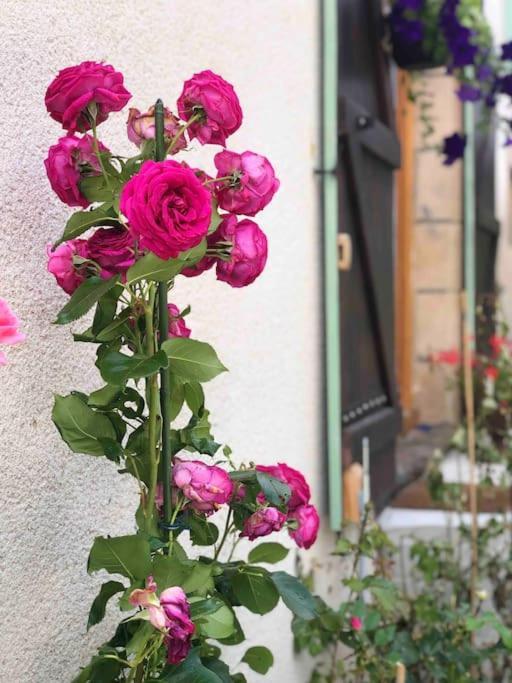 Gite "La Belle Vie" Chamblet Εξωτερικό φωτογραφία